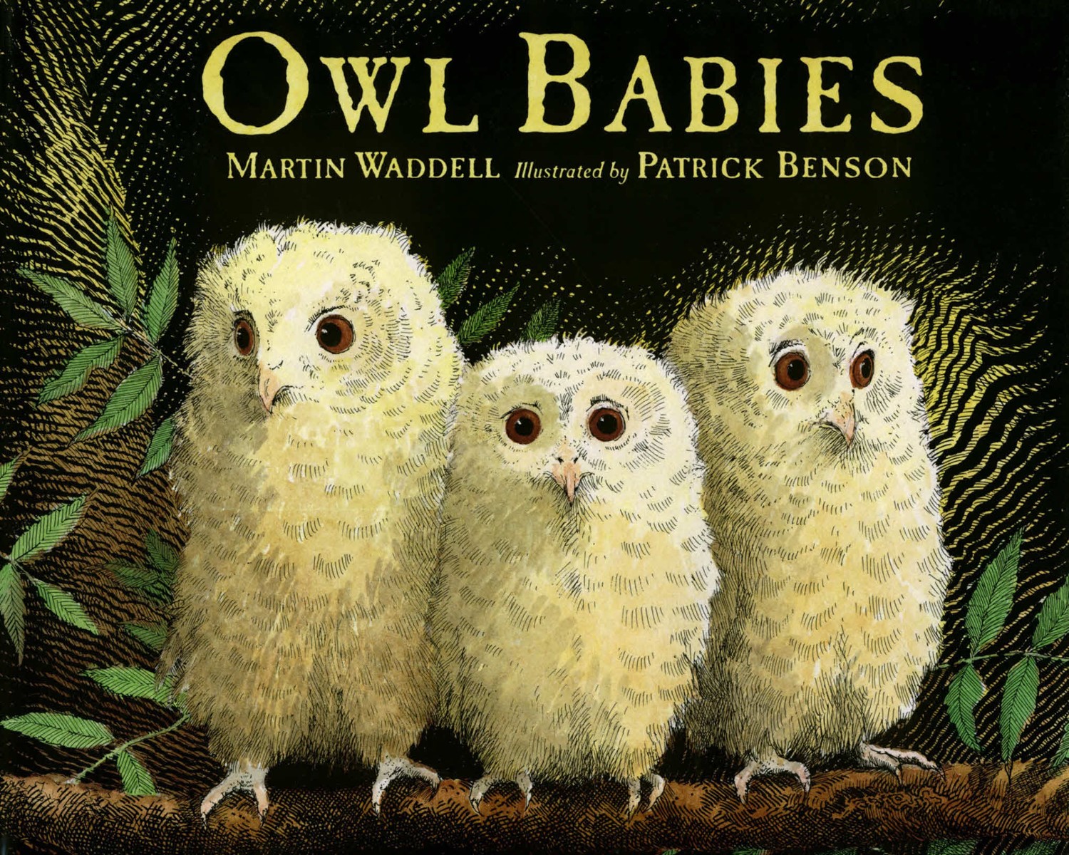Owl Babies (HC) Owl Babies (HC 25TH ANNIV)