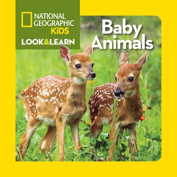 Look & Learn: Baby Animals (BD)