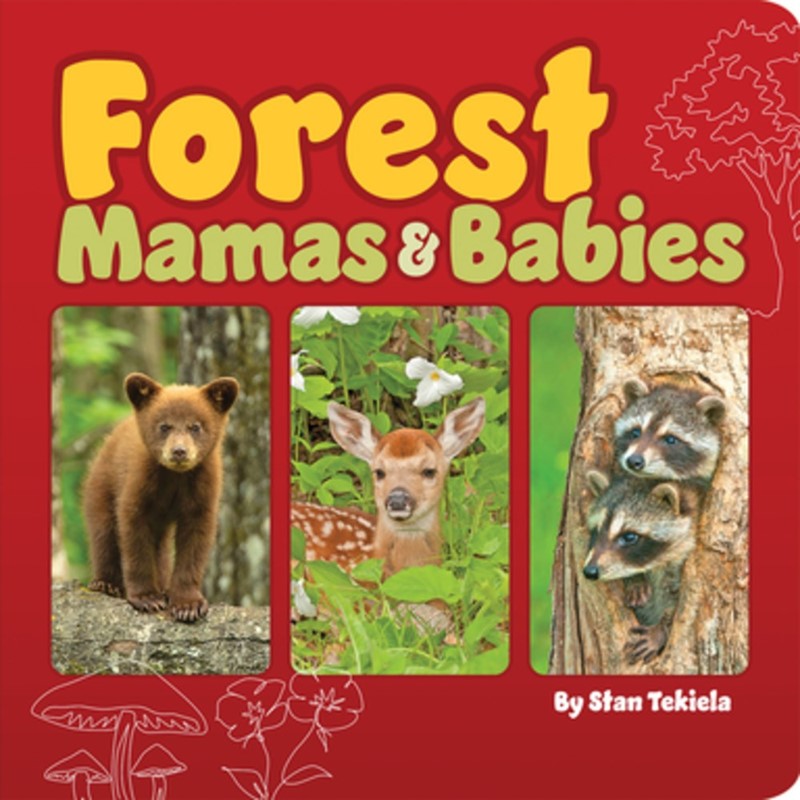 Forest Mamas & Babies (BD) Forest Mamas & Babies (BD)