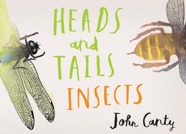 Heads and Tails: Insects (HC)