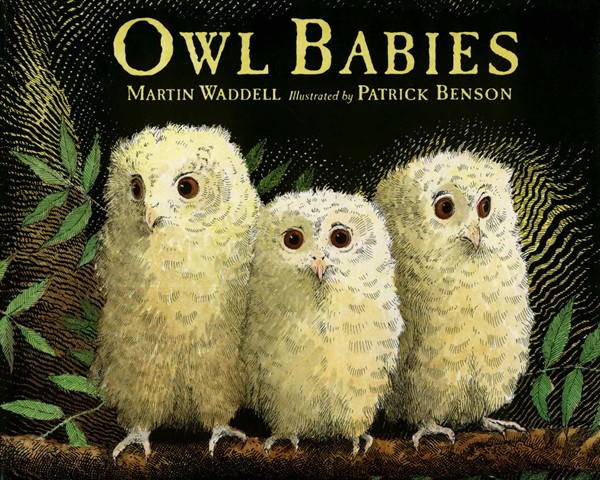 Owl Babies (HC)