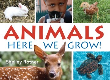 Animals: Here We Grow! (PB)