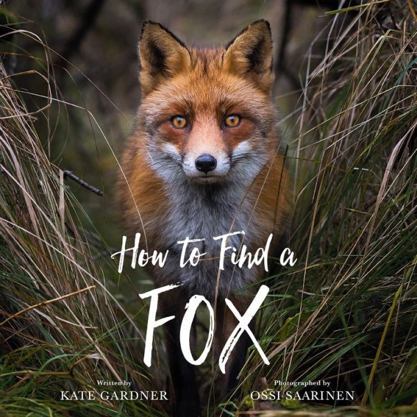 How to Find a Fox (HC)